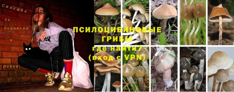 Галлюциногенные грибы Magic Shrooms  Белёв 